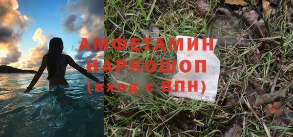 мдпв Бикин