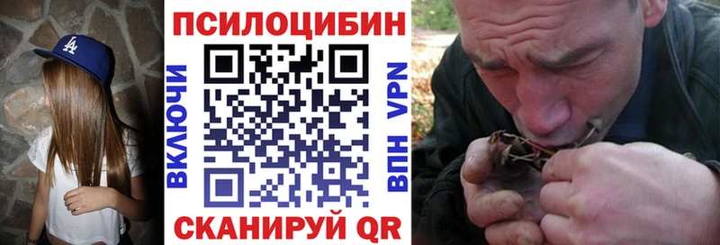 купить наркотики цена  ссылка на мегу ССЫЛКА  Галлюциногенные грибы Magic Shrooms  Ивантеевка 